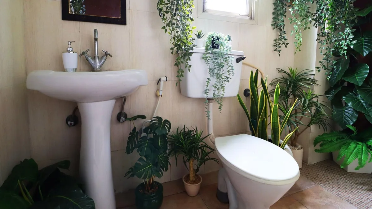 Hygiene im Haus: Wer sich diese Pflanze ins Bad stellt, kann ganz einfach Schimmel vorbeugen