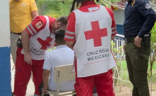 Regreso a clases se complica por enjambre de abejas en primaria de Culiacán; nueve alumnos fueron atacados