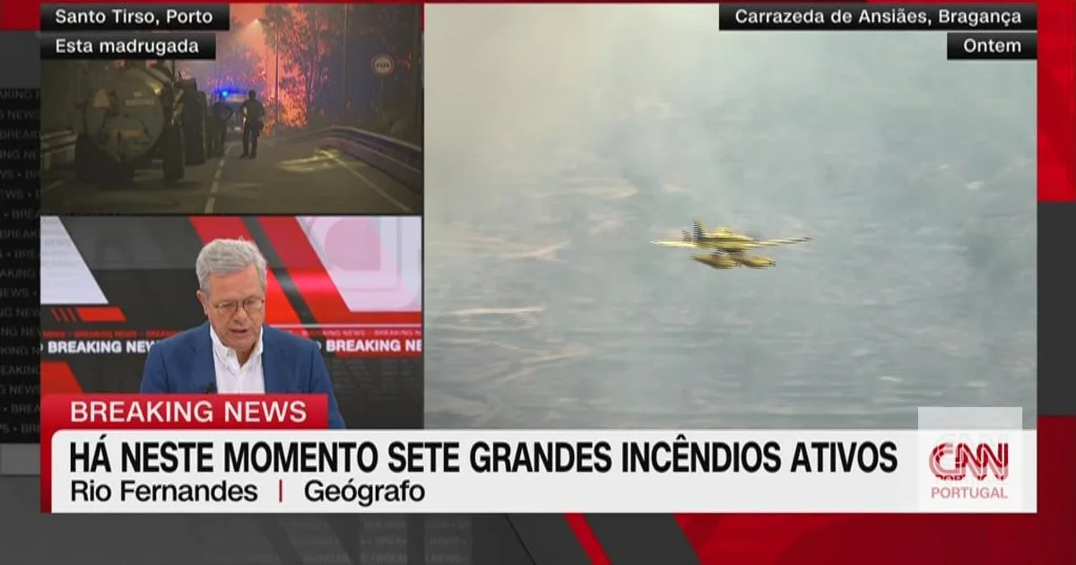 Incêndios: "Estamos a gastar cada vez mais no ataque quando podíamos ser muito mais eficientes na prevenção"