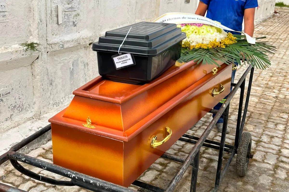 Cidade do RJ permite sepultamento de pets em jazigos de tutores