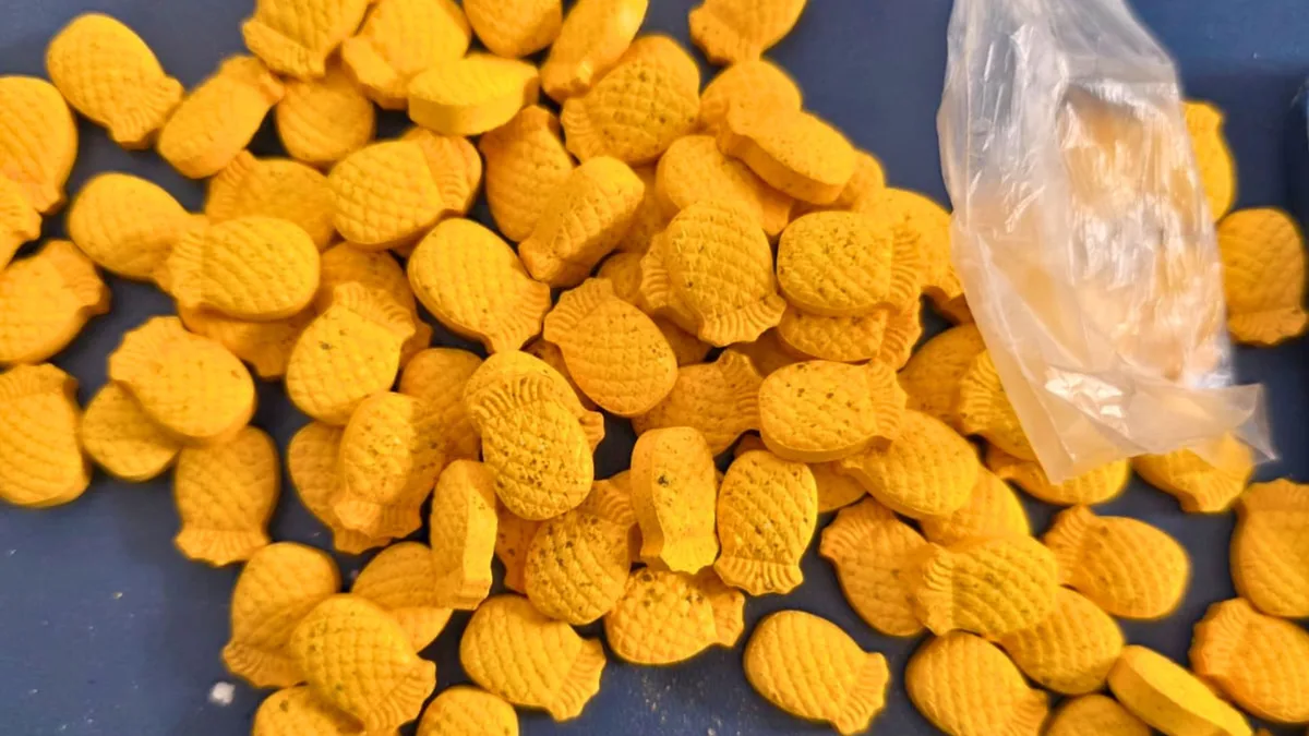 Ação policial apreende 9 kg de maconha e ‘abacaxizinho’ em Cachoeiro