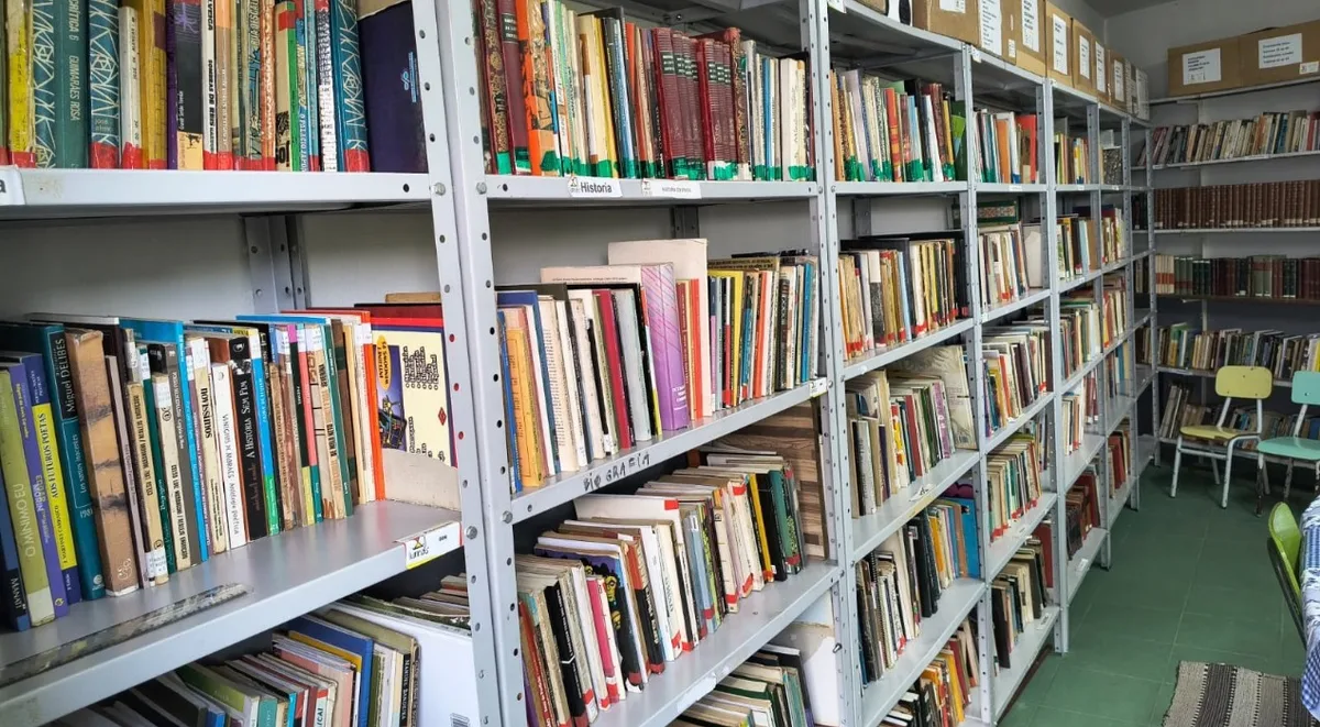 'Ratos de biblioteca': na era digital, leitores mantêm paixão por livros físicos em acervos públicos