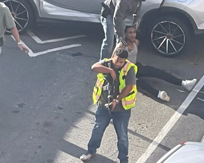 ICE officer shoots man in New York City – video