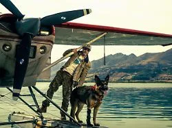 Survival-Drama "Eiserne Wildnis": Brad Pitt ist auf den Hund gekommen