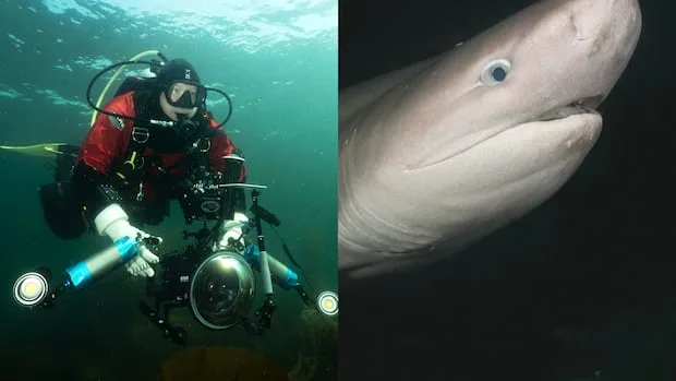He turned around and a shark was there | The Moment