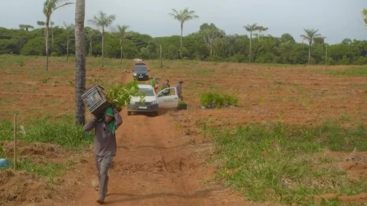 VÍDEOS: Amazônia Agro - Acre deste domingo, 20 de setembro de 2026