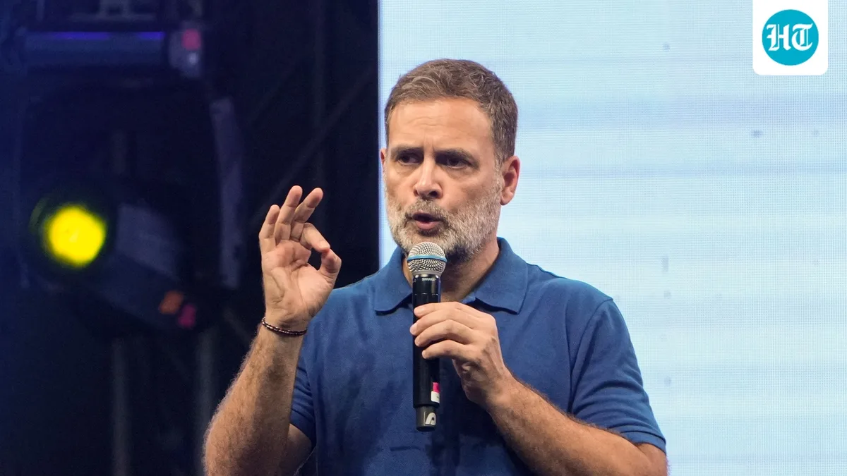 'We don't need your lessons, Rahul Gandhi': DMK slams Congress MP over his remarks on Tamil culture