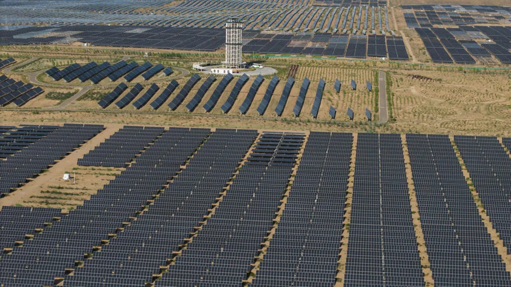 En Chine, les parcs solaires pointés du doigt dans le déclin d'espèces d'oiseaux