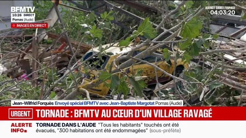 Tornade dans l'Aude: de nombreux arbres sectionnés par la force des vents