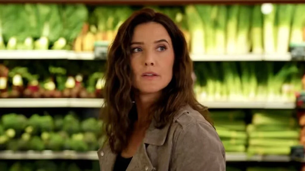 ‘O Poder e a Lei’: Netflix está desenvolvendo SPIN-OFF focado na personagem de Cobie Smulders