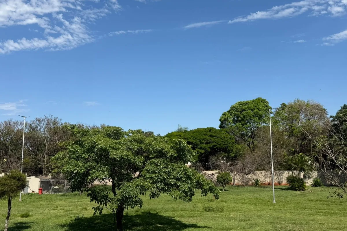 Fim de semana tem previsão de temporal e calorão de quase 40 °C em Mato Grosso do Sul