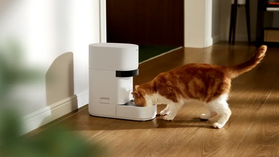 Pet owners say smart pet feeder outage led to furry ones going unfed
