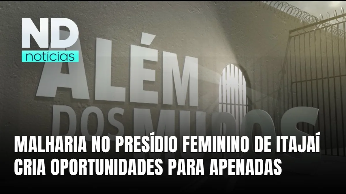 Malharia dentro de presídio feminino de Itajaí promove trabalho e renda