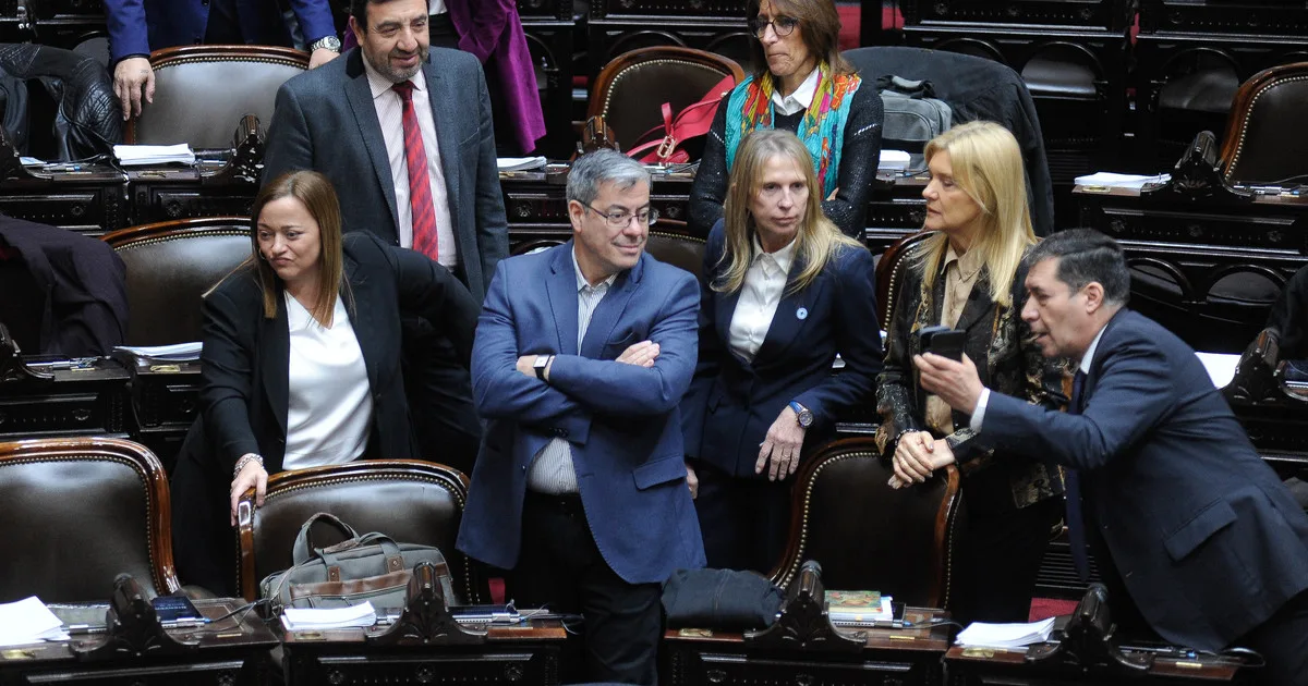 DNU 70, morosos y discapacidad: casi resignada a que no llegará al quórum, la oposición igual irá al recinto de Diputados a exponer a los ausentes