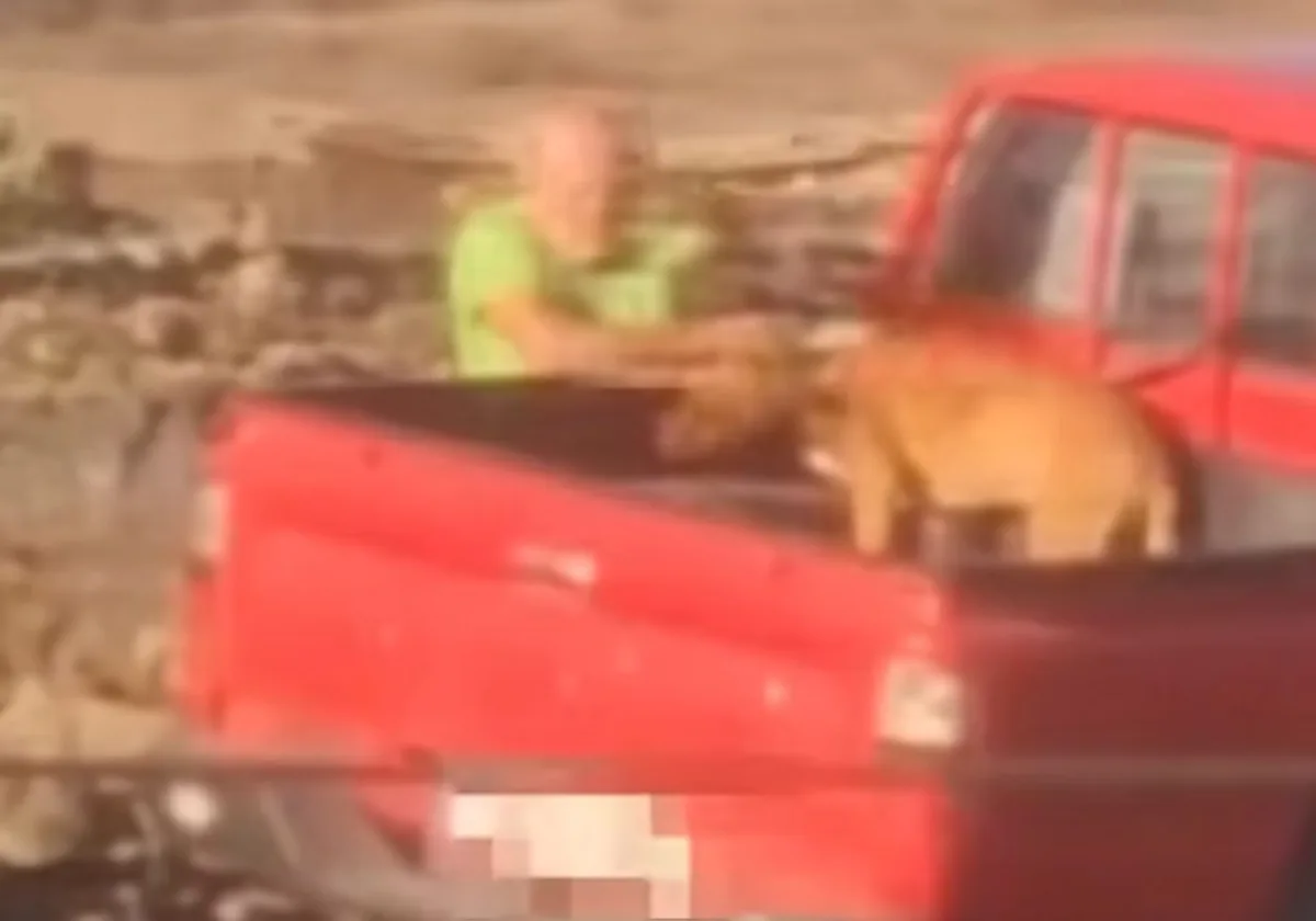 Detenido tras ser grabado maltratando a su perro en Lanzarote