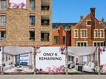 Why does Your First Home scheme only cover new builds... and should it be extended to older ones too?