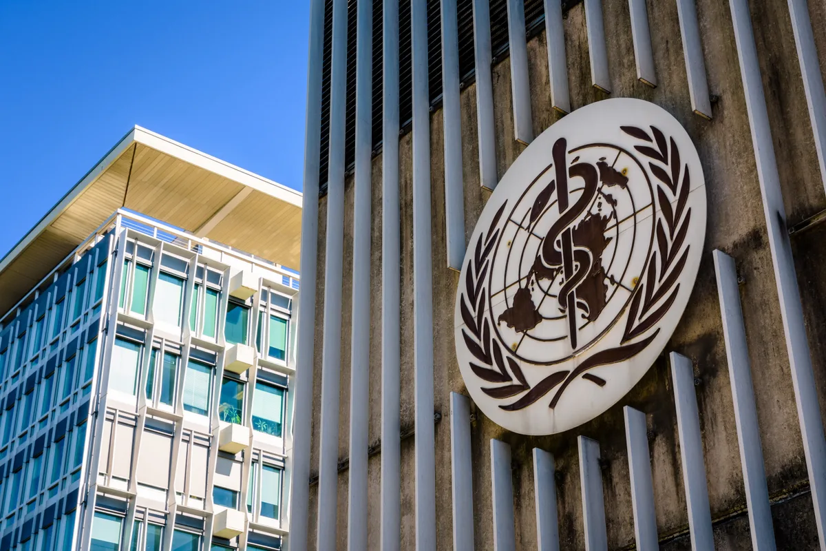 Brasil consegue aprovação da OMS para identificar feminicídios na CID; entenda