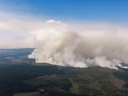 Waldbrand vor deutscher Grenze: Feuerfront in Belgien schon mehr als einen Kilometer breit