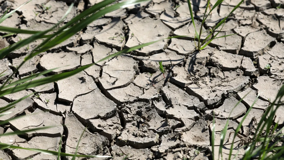 Knappe Ressource: Kampf um das Grundwasser