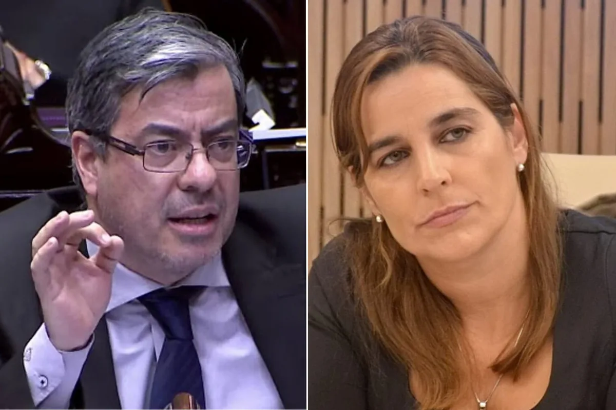 “Violento”: Germán Martínez cruzó a un exdiputada radical por vestir de cucarachas a referentes del peronismo con IA