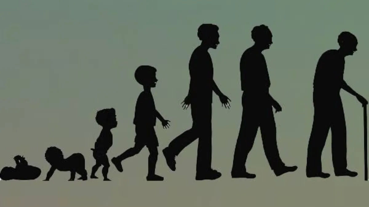 Could humans live up to 194 years? Scientists find a possible biological limit