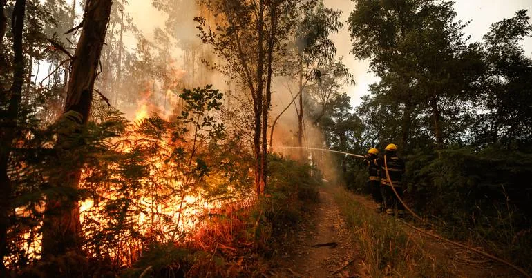 Incêndios. Prisão preventiva para dois suspeitos de fogos