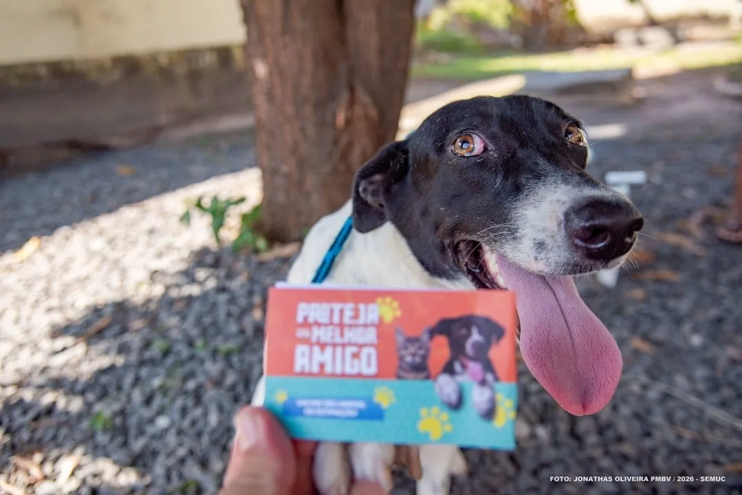 Campanha antirrábica segue em Boa Vista após vacinação de 14,4 mil animais