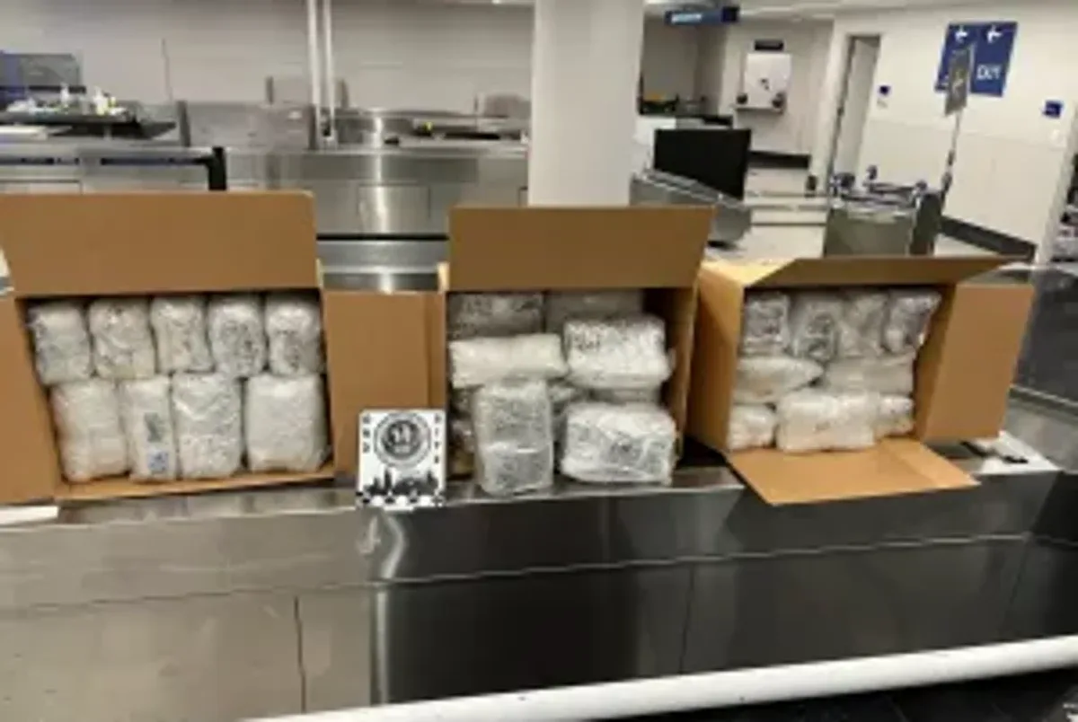 Khat is a drug increasingly being smuggled into the US - but what the heck is it?