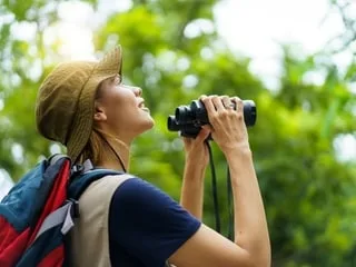 « Je me sens apaisé » : mais d’où vient cette nouvelle passion des jeunes pour l’observation des oiseaux ?
