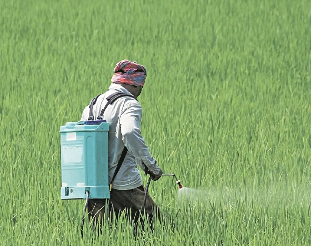 Statewide expansion of digital fertiliser sale system to aid farmers