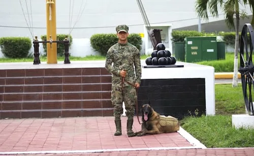 Reconocen trayectoria de "Hermes" en la Semar; elemento canino concluye su servicio activo en la Armada de México
