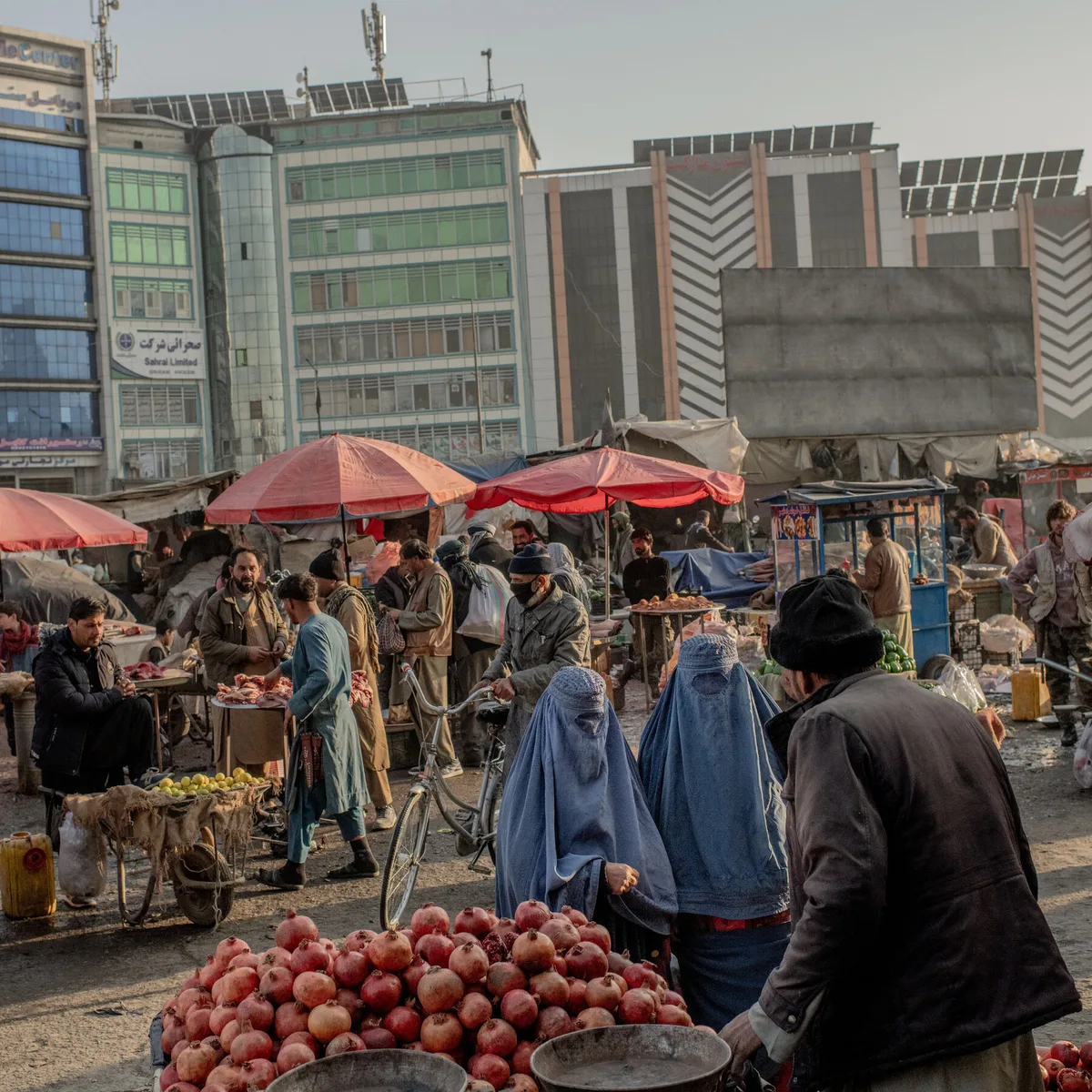 Female Afghans Erased From Public Life in Five Years of Taliban Rule