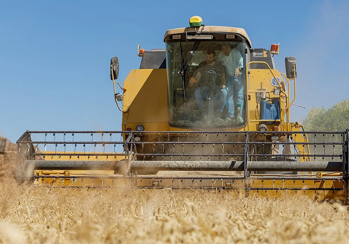 Las organizaciones agrarias exigen una reunión con Mañueco ante una campaña «crítica»