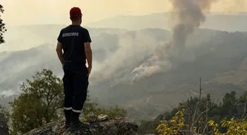 Incêndios em Portugal. A situação ao minuto