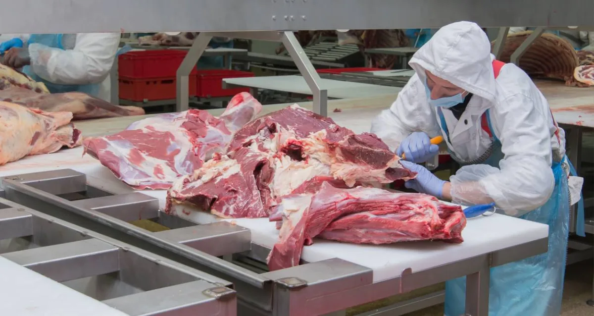 Abiec: cota de carne dos EUA é oportunidade para indústria, mas com efeito reduzido em margens
