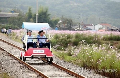 '5월만 두 번 사고' 하동 레일바이크 업체·공무원 등 8명 송치