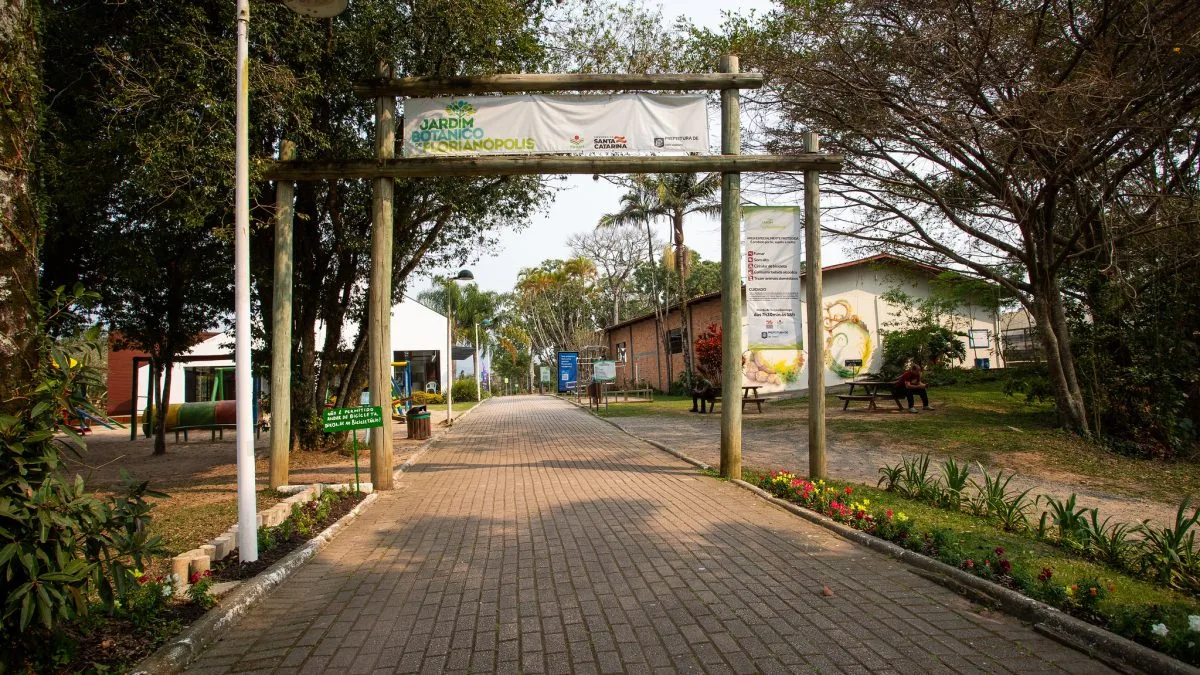Com a maior coleção de bambus do país, Jardim Botânico celebra 10 anos e ganha atração inspirada no Japão