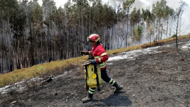 Fogo em Valongo corta EN209 e mobiliza uma centena de operacionais