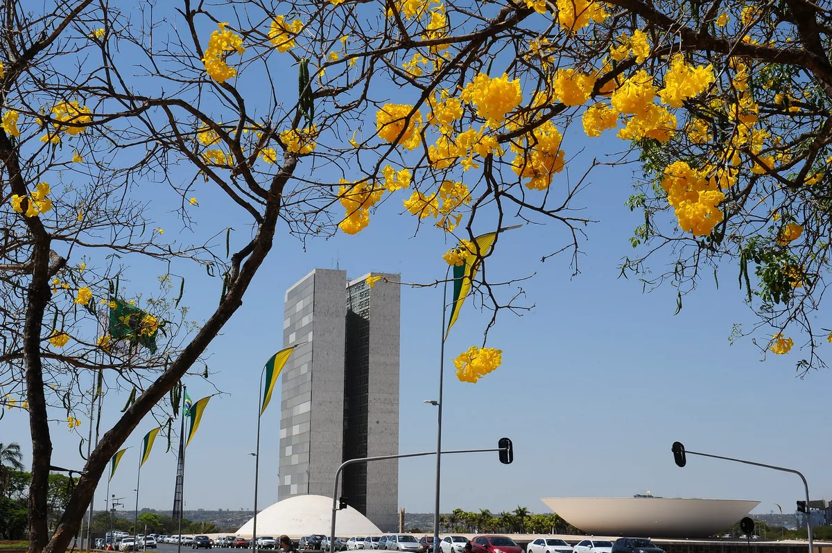 Quem são os candidatos a deputado federal por Mato Grosso (MT) nas eleições 2026