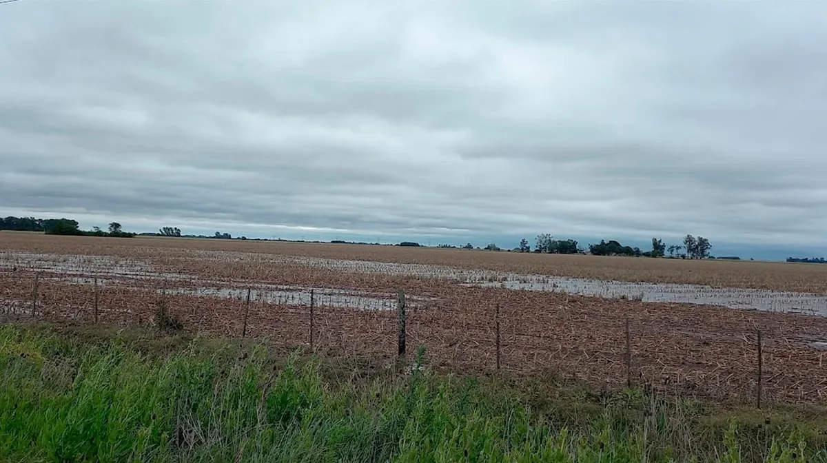 Las lluvias se concentrarán sobre el sudoeste y nordeste de la región agrícola durante los próximos días