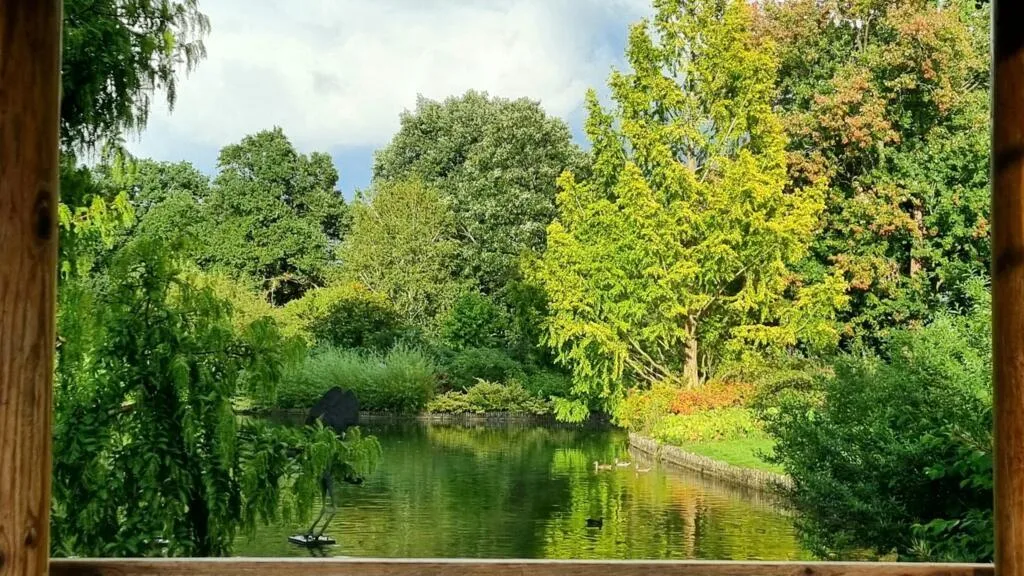Au Royaume-Uni, les jardins botaniques s'adaptent à la sécheresse