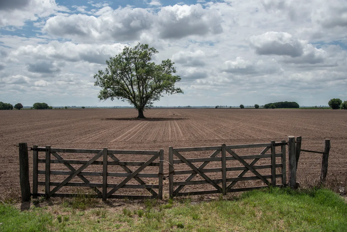 Cuáles son los límites que vuelven a regir para la venta de campos a extranjeros tras el fallo de la Corte