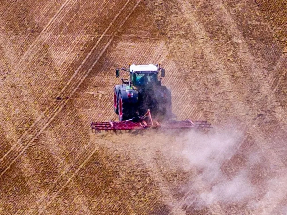 Landwirtschaft: Bauernverband erwartet deutlich kleinere Ernte