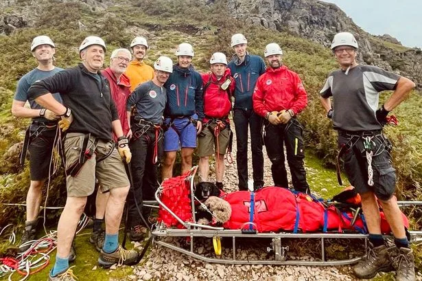 UK mountain rescue teams 'on course for their busiest year on record'