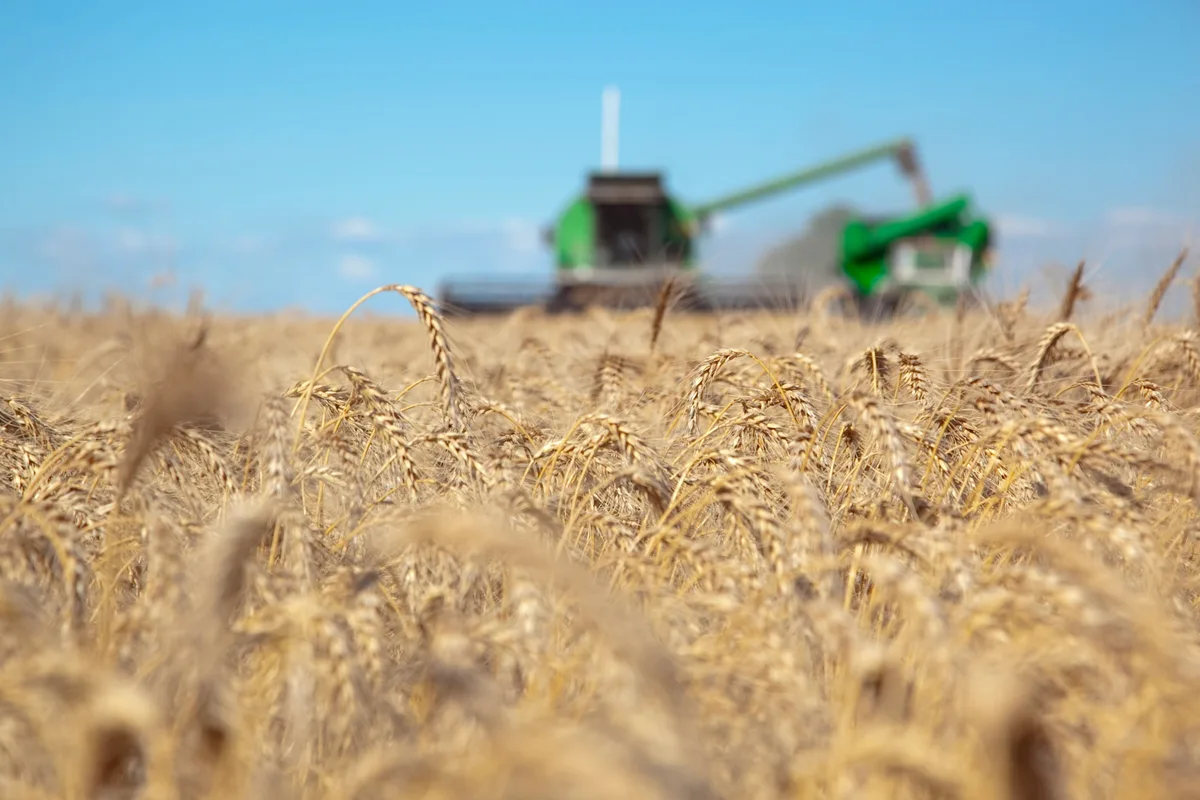 Las cadenas agroindustriales aportaron casi USD 32.000 millones en lo que va de 2026