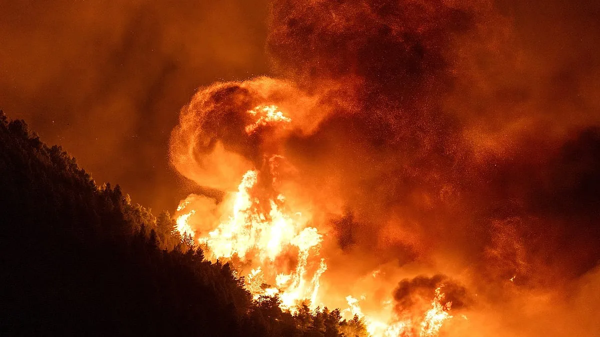 Comissão Europeia prepara nova estratégia após verão de calor extremo, secas e incêndios