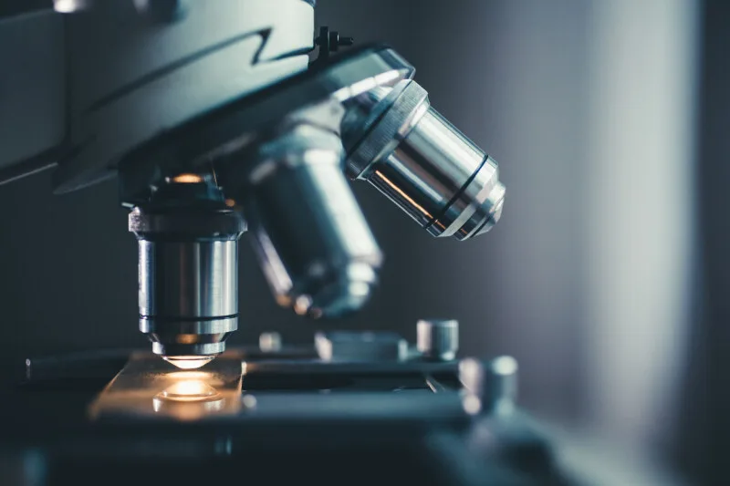 Argonne scientists create chatty X-ray microscope that zooms in where you tell it to