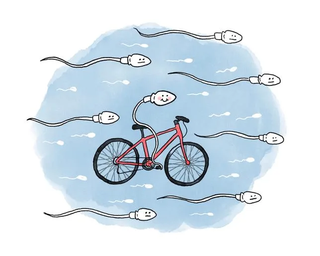 Faire du vélo a-t-il une incidence sur la fertilité ?