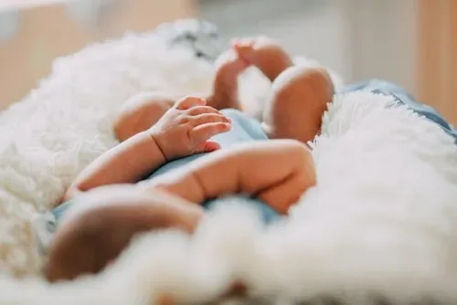 Bloemfontein horror: newborn's body still missing after dogs seen dragging severed head