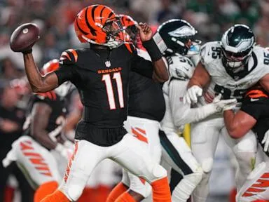 Josh Johnson helps Bengals conclude perfect preseason with 30-13 win over Eagles